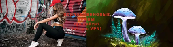бошки Арсеньев