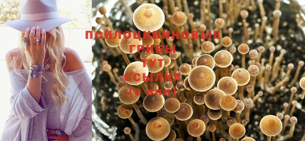 соль курить ск Армянск